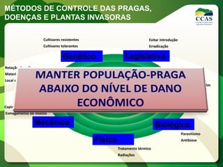 MÉTODOS DE CONTROLE DAS PRAGAS,
DOENÇAS E PLANTAS INVASORAS
Químico
Biológico
Cultural
Físico
Mecânico
LegislativoGenético
Manejo
Integrado
Evitar Introdução
Erradicação
Cultivares resistentes
Cultivares tolerantes
Rotação de culturas
Material de Propagação Sadio
Local e Época de Cultivo
Capina
Esmagamento de insetos
Tratamento térmico
Radiações
Parasitismo
Antibiose
Defensivos Agrícolas
 