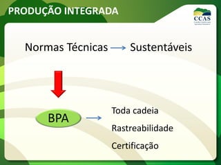 PRODUÇÃO INTEGRADA
Toda cadeia
Rastreabilidade
Certificação
BPA
Normas Técnicas Sustentáveis
 