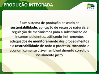 PRODUÇÃO INTEGRADA
É um sistema de produção baseado na
sustentabilidade, aplicação de recursos naturais e
regulação de mecanismos para a substituição de
insumos poluentes, utilizando instrumentos
adequados de monitoramento dos procedimentos
e a rastreabilidade de todo o processo, tornando-o
economicamente viável, ambientalmente correto e
socialmente justo.
 