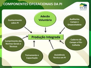 COMPONENTES OPERACIONAIS DA PI
Produção Integrada
Adesão
Voluntária Auditorias
Campo e
Empacotadora
Caderno de
Campo e Pós-
Colheita
Assistência
Técnica em PI
Treinamento e
Capacitação
Cumprimento das
Normas Gerais e
Técnicas
Conhecimento
sobre PI
 