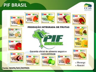 PIF BRASIL
Fonte: MAPA/SDC/DEPROS
 