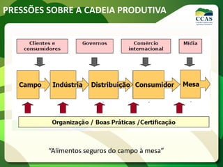 PRESSÕES SOBRE A CADEIA PRODUTIVA
“Alimentos seguros do campo à mesa”
 