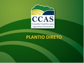 PLANTIO DIRETO
 
