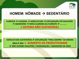 HOMEM: NÔMADE  SEDENTÁRIO
FLORESTA  CLAREIRA  AGRICULTURA  EXPLORAÇÃO ATÉ EXAUSTÃO
 ABANDONO  NOVA CLAREIRA NA FLORESTA  ...........
 SISTEMA NÃO SUSTENTÁVEL
AGRICULTURA SUSTENTÁVEL EXPLORAÇÃO “PARA SEMPRE” DA MESMA
ÁREA BPA  AUMENTO DA PRODUTIVIDADE
 NÃO OCORRE EXAUSTÃO / DEGRADAÇÃO / ABANDONO DA ÁREA
 