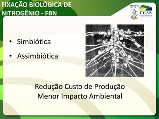 FIXAÇÃO BIOLÓGICA DE
NITROGÊNIO - FBN
• Simbiótica
• Assimbiótica
Redução Custo de Produção
Menor Impacto Ambiental
 