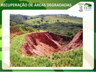 RECUPERAÇÃO DE ÁREAS DEGRADADAS
 