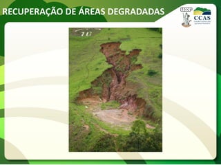 RECUPERAÇÃO DE ÁREAS DEGRADADAS
 
