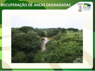 RECUPERAÇÃO DE ÁREAS DEGRADADAS
 