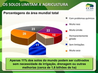 OS SOLOS LIMITAM A AGRICULTURA
Porcentagens da área mundial total
Apenas 11% dos solos do mundo podem ser cultivados
sem necessidade de irrigação, drenagem ou outras
melhorias (cerca de 1,6 bilhões de ha)
Com problemas químicos
Muito raso
Muito úmido
Permanentemente
gelado
Sem limitações
Muito seco
 