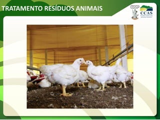 TRATAMENTO RESÍDUOS ANIMAIS
 