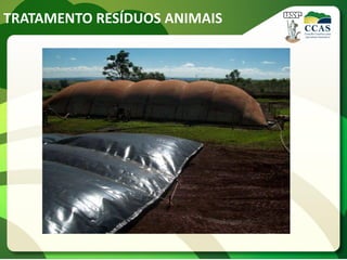 TRATAMENTO RESÍDUOS ANIMAIS
 