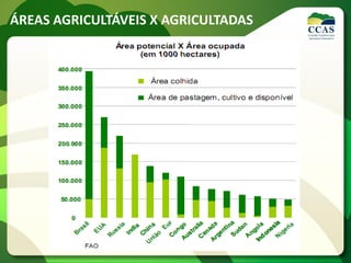 ÁREAS AGRICULTÁVEIS X AGRICULTADAS
 