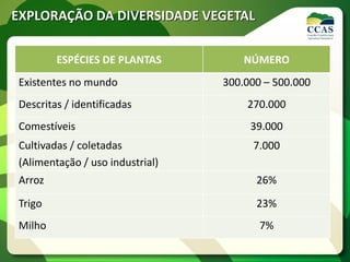 ESPÉCIES DE PLANTAS NÚMERO
Existentes no mundo 300.000 – 500.000
Descritas / identificadas 270.000
Comestíveis 39.000
Cultivadas / coletadas
(Alimentação / uso industrial)
7.000
Arroz 26%
Trigo 23%
Milho 7%
EXPLORAÇÃO DA DIVERSIDADE VEGETAL
 
