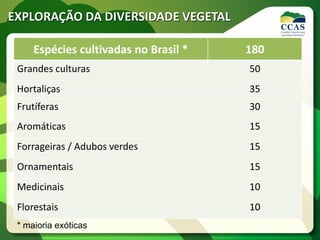Espécies cultivadas no Brasil * 180
Grandes culturas 50
Hortaliças 35
Frutíferas 30
Aromáticas 15
Forrageiras / Adubos verdes 15
Ornamentais 15
Medicinais 10
Florestais 10
EXPLORAÇÃO DA DIVERSIDADE VEGETAL
* maioria exóticas
 