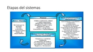 Etapas del sistemas
 