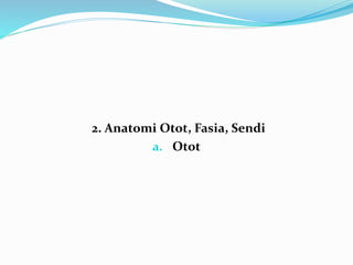 2. Anatomi Otot, Fasia, Sendi
a. Otot
 