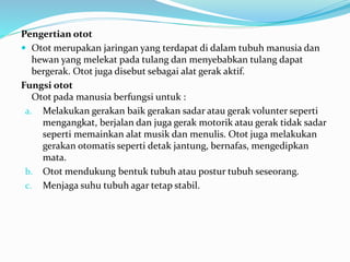 Pengertian otot
 Otot merupakan jaringan yang terdapat di dalam tubuh manusia dan
hewan yang melekat pada tulang dan menyebabkan tulang dapat
bergerak. Otot juga disebut sebagai alat gerak aktif.
Fungsi otot
Otot pada manusia berfungsi untuk :
a. Melakukan gerakan baik gerakan sadar atau gerak volunter seperti
mengangkat, berjalan dan juga gerak motorik atau gerak tidak sadar
seperti memainkan alat musik dan menulis. Otot juga melakukan
gerakan otomatis seperti detak jantung, bernafas, mengedipkan
mata.
b. Otot mendukung bentuk tubuh atau postur tubuh seseorang.
c. Menjaga suhu tubuh agar tetap stabil.
 