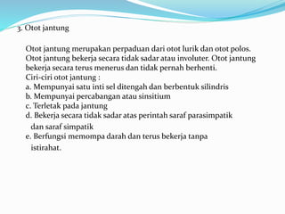 3. Otot jantung
Otot jantung merupakan perpaduan dari otot lurik dan otot polos.
Otot jantung bekerja secara tidak sadar atau involuter. Otot jantung
bekerja secara terus menerus dan tidak pernah berhenti.
Ciri-ciri otot jantung :
a. Mempunyai satu inti sel ditengah dan berbentuk silindris
b. Mempunyai percabangan atau sinsitium
c. Terletak pada jantung
d. Bekerja secara tidak sadar atas perintah saraf parasimpatik
dan saraf simpatik
e. Berfungsi memompa darah dan terus bekerja tanpa
istirahat.
 
