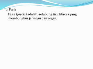 b. Fasia
Fasia (fascia) adalah: selubung tisu fibrosa yang
membungkus jaringan dan organ.
 