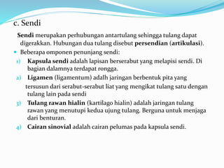 c. Sendi
Sendi merupakan perhubungan antartulang sehingga tulang dapat
digerakkan. Hubungan dua tulang disebut persendian (artikulasi).
 Beberapa omponen penunjang sendi:
1) Kapsula sendi adalah lapisan berserabut yang melapisi sendi. Di
bagian dalamnya terdapat rongga.
2) Ligamen (ligamentum) adalh jaringan berbentuk pita yang
tersusun dari serabut-serabut liat yang mengikat tulang satu dengan
tulang lain pada sendi
3) Tulang rawan hialin (kartilago hialin) adalah jaringan tulang
rawan yang menutupi kedua ujung tulang. Berguna untuk menjaga
dari benturan.
4) Cairan sinovial adalah cairan pelumas pada kapsula sendi.
 