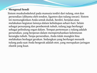  Mengenal Sendi
Sistem muskuloskeletal pada manusia terdiri dari tulang, otot dan
persendian (dibantu oleh tendon, ligamen dan tulang rawan). Sistem
ini memungkinkan Anda untuk duduk, berdiri, berjalan atau
melakukan kegiatan lainnya dalam kehidupan sehari-hari. Selain
sebagai penunjang dan pembentuk tubuh, tulang juga berfungsi
sebagai pelindung organ dalam. Tempat pertemuan 2 tulang adalah
persendian, yang berperan dalam mempertahankan kelenturan
kerangka tubuh. Tanpa persendian, Anda tidak mungkin bisa
melakukan berbagai gerakan. Sedangkan yang berfungsi menarik
tulang pada saat Anda bergerak adalah otot, yang merupakan jaringan
elastik yang kuat.
 