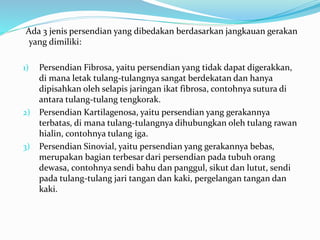 Ada 3 jenis persendian yang dibedakan berdasarkan jangkauan gerakan
yang dimiliki:
1) Persendian Fibrosa, yaitu persendian yang tidak dapat digerakkan,
di mana letak tulang-tulangnya sangat berdekatan dan hanya
dipisahkan oleh selapis jaringan ikat fibrosa, contohnya sutura di
antara tulang-tulang tengkorak.
2) Persendian Kartilagenosa, yaitu persendian yang gerakannya
terbatas, di mana tulang-tulangnya dihubungkan oleh tulang rawan
hialin, contohnya tulang iga.
3) Persendian Sinovial, yaitu persendian yang gerakannya bebas,
merupakan bagian terbesar dari persendian pada tubuh orang
dewasa, contohnya sendi bahu dan panggul, sikut dan lutut, sendi
pada tulang-tulang jari tangan dan kaki, pergelangan tangan dan
kaki.
 