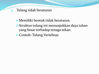 3. Tulang tidak beraturan
Memiliki bentuk tidak beraturan.
Struktur tulang ini menunjukkan daya tahan
yang besar terhadap tenaga tekan.
Contoh: Tulang Vertebrae.
 