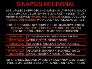 SINAPSIS NEURONAL LOS IMPULSOS NERVIOSOS NO SUELEN SALTAR POR SI SOLOS LOS ESPACIOS DE LAS SINAPSIS QUÍMICAS Y NECESITAN LA INTERVENCION DE  PRODUCTOS QUÍMICOS  CONOCIDOS COMO  NEUROTRANSMISORES  PARA COMUNICAR CELULAS ENTRE SI ESTOS PROVOCAN REACCIONES EN CELULAS ADYACENTES: ( CONTACCIÓN ,  SECRECIÓN ,  EXCITACIÓN  O  INHIBICIÓN ) LOS NEUROTRANSMISORES MAS CONOCIDOS SON: SU INTERES MÉDICO ES EVIDENTE Y NOS AYUDA A ENTENDER PROBLEMAS COMO EL DOLOR Y LA ADICCIÓN A LAS DROGAS DOPAMINA ACTIVIDAD MOTORA, RESPUESTA CEREBRAL SEROTONINA ANIMO, INGESTA, SUEÑO Y DOLOR ADRENALINA CORAZÓN, BRONQUIOS Y TENSION ARTERIAL ACETILCOLINA ATENCIÓN, MEMORIA Y APRENDIZAJE ENCEFALINAS ENDORFINAS OPIACIOS ENDOGENOS QUE APORTAN CALMA ANTE EL DOLOR Y LA TENSIÓN NERVIOSA 