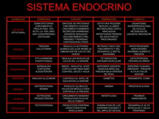 SISTEMA ENDOCRINO GLANDULAS HORMONAS FUNCION DISMINUCION AUMENTO HIPOFISIS  (PITUITARIA) SOMATROTOPINA (CRECIMIENTO) PROLACTINA, TSH, ACTH, LH, FSH, MSH, ADH (VASOPRESINA) OXITOCINA SINTESIS DE PROTEINAS CRECIMIENTO HUESOS CRECIMIENTO MAMARIO SECRECION HORMONAL ORGANOS SEXUALES OSCURECIMIENTO PIEL RIÑONES Y PERDIDAS CONTRACCION UTERO ESTATURA PEQUEÑA REDUCE LA LIBIDO METABOLISMO LENTO HINCHAZON INFERTILIDAD PERDIDA DE AGUA PARTO PROLONGADO GIGANTISMO SUPERPRODUCCION DE OVULOS RETENCION DE LIQUIDOS HINCHAZON TIRIODES TIROXINA CALCITONINA REGULA LA ACTIVIDAD QUIMICA CELULAR INHIBE LA LIBERACION DE CALCIO DEL HUESO RETRASO FISICO DEL CRECIMIENTO Y DEL DESARROLLO METAL ENANISMO HIPERTIROIDISMO NERVIOSISMO INSOMNIO AUMENTO PRESION PARATIROIDES PTH (HORMONA PARATITOIDEA) REGULA LOS NIVELES DE CALCIO EN  LA SANGRE TETANIZACION: ESPASMO MUSCULAR OSTEOPOROSIS PIEDARS EN RIÑON SUPRARRENAL ADRENALINA CORTISONA ALDOSTERONA MIEDO,  ANGUSTIA, SHOC CONTOLA METABOLISMO CONTROL SALES Y AGUA ENFERMOS ADDISON: DESEQUILIBRIO SAL PRESION BAJA PERDIDA DE PESO ENFERMO CUSHING: OBESIDAD  PRESION ALTA ALTOS DE AZUCAR PANCREAS INSULNA GLUCAMON CONTROLA EL NIVEL DE AZUCAR EN LA SANGRE DIABETES RARAMENTE: COMA RIÑONES ERITROPOYEINA RENINA PRODUCE GLOBULOS ROJOS EN MEDULA OSEA CONTROLA LA PRESION ANEMIA PRESION ELEVADA OVARIOS ESTROGENO PROGESTERONA CRECIMIENTO MAMARIO PRODUCCION OVULOS VELLO PUBICO INFERTILIDAD TROMBOS SANGUINEOS TESTICULOS TESTOSTERONA PRODUCCION ESPERMA CARACTERISTICAS MASCULINAS DISMINUCION DE LOS ESPERMATOZOIDES Y DEL IMPULSO SEXUAL DESARROLLO ALTO MUSCULOS Y VELLO PRIAPISMO 