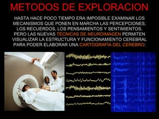 METODOS DE EXPLORACION HASTA HACE POCO TIEMPO ERA IMPOSIBLE EXAMINAR LOS MECANISMOS QUE PONEN EN MARCHA LAS PERCEPCIONES, LOS RECUERDOS, LOS PENSAMIENTOS Y SENTIMIENTOS. PERO LAS NUEVAS  TÉCNICAS DE NEUROIMAGEN  PERMITEN VISUALIZAR LA ESTRUCTURA Y FUNCIONAMIENTO CEREBRAL PARA PODER ELABORAR UNA  CARTOGRAFÍA DEL CEREBRO : 