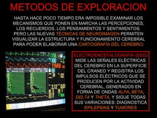 METODOS DE EXPLORACION ELECTROENCEFALOGRAFÍA (EEG) MIDE LAS SEÑALES ELÉCTRICAS DEL CEREBRO EN LA SUPERFICIE DEL CRANEO Y REGISTRA LOS IMPULSOS ELÉCTRICOS QUE SE PRODUCEN POR LA ACTIVIDAD CEREBRAL, GENERADOS EN FORMA DE ONDAS  ALFA ,  BETA , DELTA  Y  THETA , Y SIGUE TODAS SUS VARIACIONES: DIAGNOSTICA EPILEPSIAS  Y  TUMORES HASTA HACE POCO TIEMPO ERA IMPOSIBLE EXAMINAR LOS MECANISMOS QUE PONEN EN MARCHA LAS PERCEPCIONES, LOS RECUERDOS, LOS PENSAMIENTOS Y SENTIMIENTOS. PERO LAS NUEVAS  TÉCNICAS DE NEUROIMAGEN  PERMITEN VISUALIZAR LA ESTRUCTURA Y FUNCIONAMIENTO CEREBRAL PARA PODER ELABORAR UNA  CARTOGRAFÍA DEL CEREBRO : 