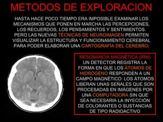 METODOS DE EXPLORACION RESONANCIA MAGNÉTICA (IRM) UN DETECTOR REGISTRA LA FORMA EN QUE LOS  ÁTOMOS DE HIDRÓGENO  RESPONDEN A UN CAMPO MAGNÉTICO: LOS ÁTOMOS LIBERAN UNAS SEÑALES QUE SON PROCESADAS EN IMÁGENES POR UNA  COMPUTADORA  SIN QUE SEA NECESARIA LA INYECCIÓN DE COLORANTES O SUSTANCIAS DE TIPO RADIOACTIVO HASTA HACE POCO TIEMPO ERA IMPOSIBLE EXAMINAR LOS MECANISMOS QUE PONEN EN MARCHA LAS PERCEPCIONES, LOS RECUERDOS, LOS PENSAMIENTOS Y SENTIMIENTOS. PERO LAS NUEVAS  TÉCNICAS DE NEUROIMAGEN  PERMITEN VISUALIZAR LA ESTRUCTURA Y FUNCIONAMIENTO CEREBRAL PARA PODER ELABORAR UNA  CARTOGRAFÍA DEL CEREBRO : 