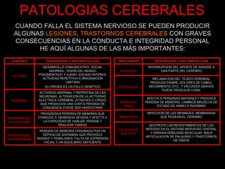 PATOLOGIAS CEREBRALES CUANDO FALLA EL SISTEMA NERVIOSO SE PUEDEN PRODUCIR ALGUNAS  LESIONES ,  TRASTORNOS CEREBRALES  CON GRAVES CONSECUENCIAS EN LA CONDUCTA E INTEGRIDAD PERSONAL HE AQUÍ ALGUNAS DE LAS MÁS IMPORTANTES: LESIONES DESCRIPCION Y SINTOMATOLOGIA AUTISMO DESARROLLO COMUNICATIVO  SOCIAL ANORMAL, VISION DEL MUNDO FRAGMENTADO Y AJENO, ESCASO INTERES, ACTIVIDAD REPETITIVA E IMAGINACION LIMITADA SU ORIGEN ES UN FALLO GENETICO EPILEPSIA ACTIVIDAD ANORMAL Y REPENTINA DE LAS NEURONAS, ALTERACION DE LA ACTIVIDAD ELECTRICA CEREBRAL (ATAQUES O CRISIS) QUE PRODUCEN UNA CORTA PERDIDA DE CONCIENCIA PUEDE SER HEREDITARIA ENFERMEDAD DE ALZHEIMER PROGRESIVA PERDIDA DE MEMORIA QUE CONDUCE A  DEMENCIA SEVERA Y AFECTA A LA CAPACIDAD DE HABLAR, PENSAR Y REALIZAR TAREAS ENFERMEDAD DE PARKINSON PERDIDA DE MEMORIA ORIGINADA POR UN DEFICID DE DOPAMINA QUE PROVOCA RIGIDEZ Y TEMBLORES, FALTA DE EXPRESION FACIAL Y UN EQUILIBRIO DEFICIENTE TRASTORNOS DESCRIPCION Y SINTOMATOLOGIA APOPLEJIA INTERRUPCION DEL APORTE DE SANGRE A UNA PARTE DEL CEREBRO ENCEFALITIS INFLAMACION DEL TEJIDO CEREBRAL PRODUCE FIEBRE, DOLORES DE CABEA, DECAIMIENTO, ETC.. Y EN CASOS GRAVES PUEDE PRODUCIR COMA DEMENCIA SENIL AFECTA A PERSONAS MAYORES Y PROVOCA PERDIDA DE MEMORIA, CAMBIOS BRUSCOS DE ESTADO DE ANIMO E INSOMNIO MENINGITIS INFECCION DE LAS MENINGES, MEMBRANAS QUE RODEAN EL CEREBRO ESCLEROSIS MULTIPLE DESTRUYE LOS REVESTIMIENTOS DE LOS NERVIOS EN EL SISTEMA NERVIOSO CENTRAL Y ORIGINA DEBILIDAD MUSCULAR, MALA ARTICULACION DE PALAVRAS Y TRASTORNOS DE VISION 