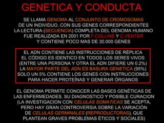 GENETICA Y CONDUCTA SE LLAMA  GENOMA  AL  CONJUNTO DE CROMOSOMAS DE UN INDIVIDUO, CON SUS GENES CORRESPONDIENTES LA LECTURA ( SECUENCIA ) COMPLETA DEL GENOMA HUMANO FUE REALIZADA EN 2001 POR  F.COLLINS  Y  C.VENTER Y CONTIENE POCO MAS DE 30.000 GENES EL ADN CONTIENE LAS INSTRUCCIONES DE RÉPLICA EL CÓDIGO ES IDENTICO EN TODOS LOS SERES VIVOS (ENTRE UNA PERSONA Y OTRA EL ADN DIFIERE UN 0.2%) LA  MAYOR PARTE DEL ADN ES BASURA GENETICA  (95%) SOLO UN 5% CONTIENE LOS GENES CON INSTRUCCIONES PARA HACER PROTEÍNAS Y GENERAR ÓRGANOS EL GENOMA PERMITE CONOCER LAS BASES GENÉTICAS DE LAS ENFERMEDADES, SU DIAGNOSTICO Y POSIBLE CURACION (LA INVESTIGACION CON  CELULAS SOMATICAS  SE ACEPTA, PERO HAY GRAN CONTROVERSIA SOBRE LA VARIACIÓN DE  CELULAS GERMINALES  ( REPRODUCTORAS ), QUE PLANTEAN GRAVES PROBLEMAS ÉTICOS Y SOCIALES) 