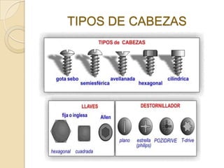 TIPOS DE CABEZAS
 