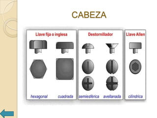 CABEZA
 