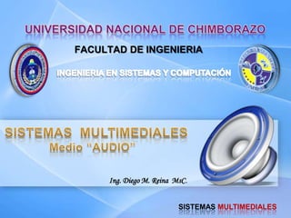 FACULTAD DE INGENIERIA
SISTEMAS MULTIMEDIALES
Ing. Diego M. Reina MsC.
 
