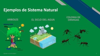 Sistemas Naturales y Artificiales | PPTX