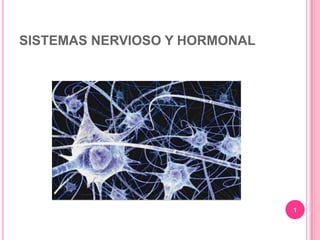 SISTEMAS NERVIOSO Y HORMONAL 1 