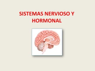 SISTEMAS NERVIOSO Y
     HORMONAL
 