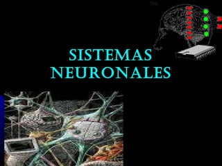Sistemas neuronales 