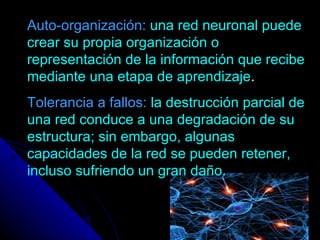 Auto-organización:   una red neuronal puede crear su propia organización o representación de la información que recibe mediante una etapa de aprendizaje . Tolerancia a fallos:   la destrucción parcial de una red conduce a una degradación de su estructura; sin embargo, algunas capacidades de la red se pueden retener, incluso sufriendo un gran daño. 