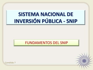 SISTEMA NACIONAL DE
        INVERSIÓN PÚBLICA - SNIP


             FUNDAMENTOS DEL SNIP



Camélido 7
 