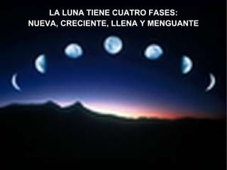 LA LUNA TIENE CUATRO FASES: NUEVA, CRECIENTE, LLENA Y MENGUANTE 