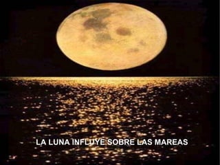 LA LUNA INFLUYE SOBRE LAS MAREAS 