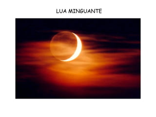 LUA MINGUANTE 