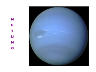 N E T U N O 