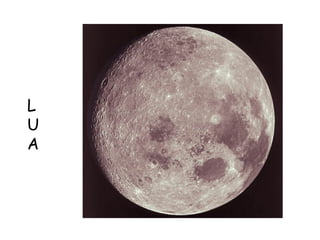 L U A 