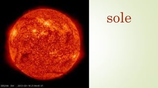 sole
 