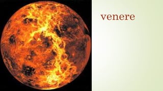 venere
 